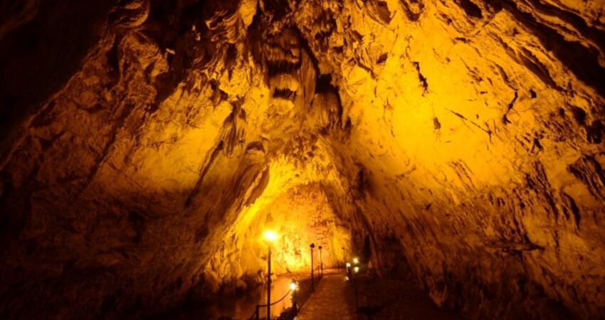 Edirne İğneada Longoz Ormanı Trakya Turu