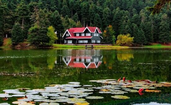 Aydın Çıkışlı Yedigöller Abant Ormanya Safranbolu Turu